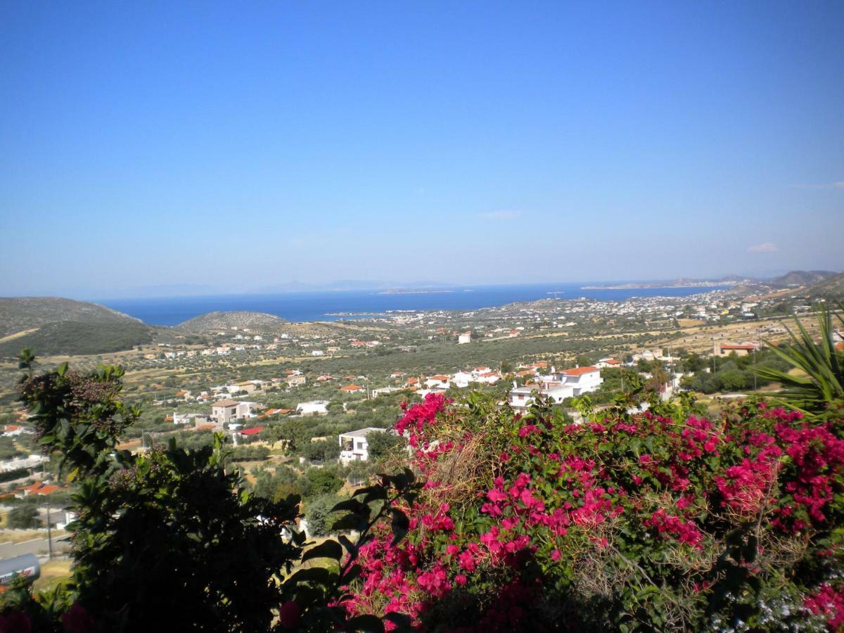 Olimbos Outstanding Panoramic View, 10΄ Beach, 20΄ Airport מראה חיצוני תמונה