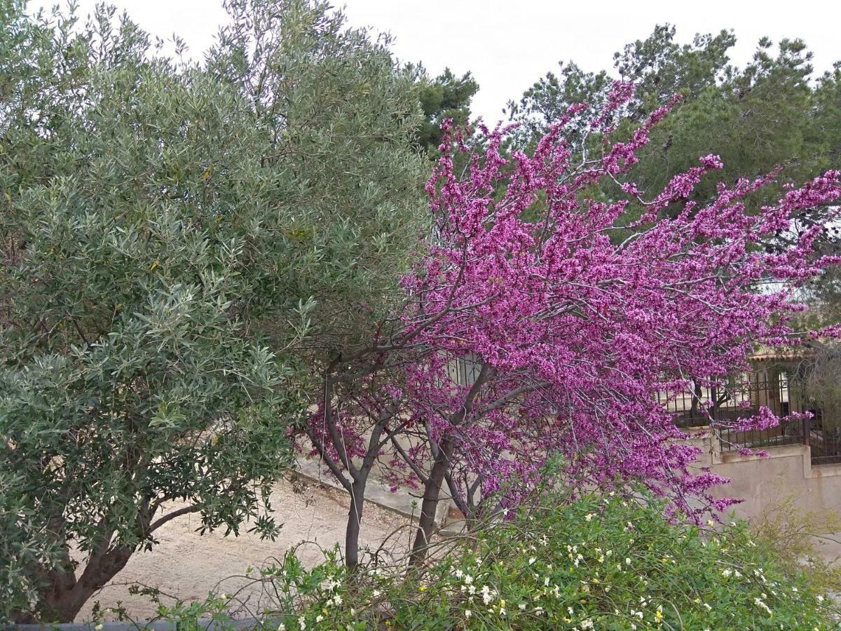 Olimbos Outstanding Panoramic View, 10΄ Beach, 20΄ Airport מראה חיצוני תמונה
